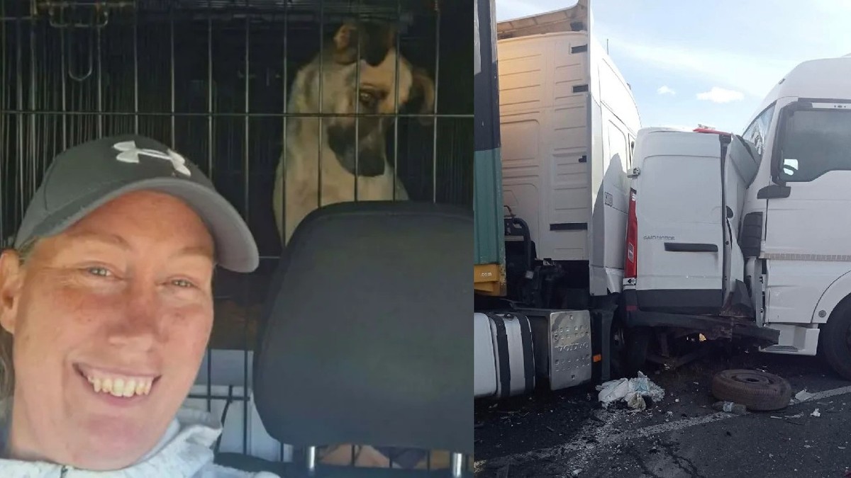 O femeie cu șapca, aflata într-un microbuz de transport câini, un animal se vede printre gratii// Un microbuz alb strivit de două autotrenuri albe