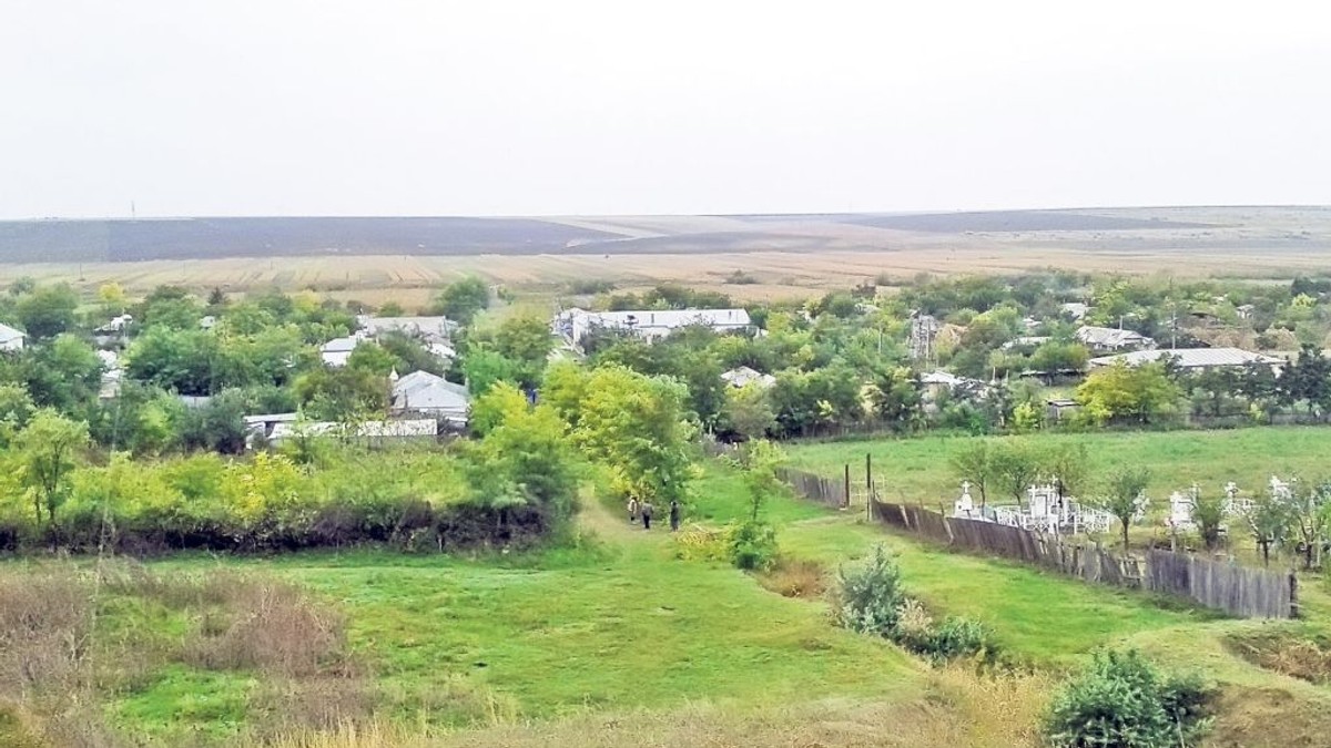 Arhiva foto