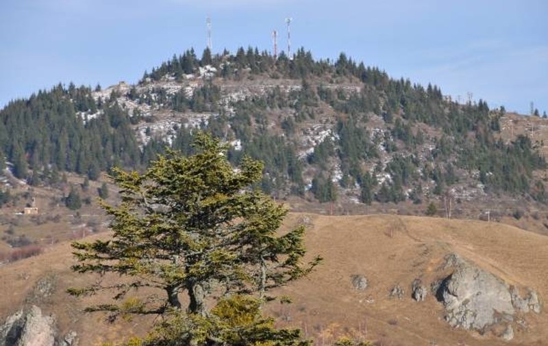 Un tânăr care căuta aur a fost găsit mort într-o mină din Roşia Montană