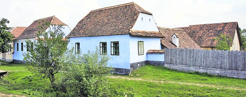 Arhiva foto