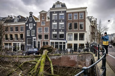 Mai mulți copaci s-au prăbușit în Amsterdam din cauza rafalelor puternice. foto: Epa