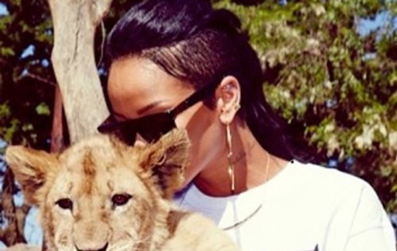 Acest leuţ adorabil a devenit vedetă după ce a avut "onoarea" să facă o poză cu Rihanna. Vezi şi alte animale care au devenit celebre. Poze haioase!