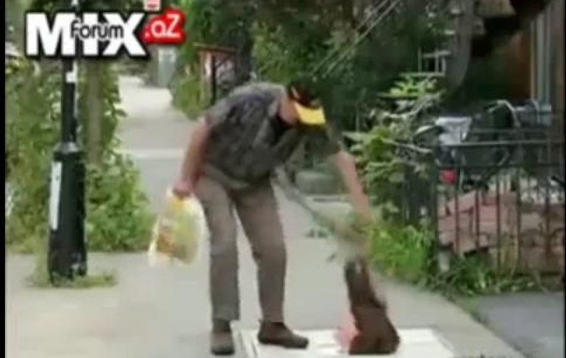 Te ține inima să te uiți? Iată cele mai tari farse făcute vreodată! VIDEO