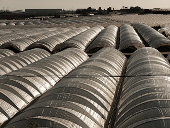 Solarii cu căpșuni în provincia Huelva, Spania