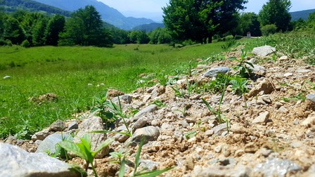 Privelişte din marginea satului Sălătrucu