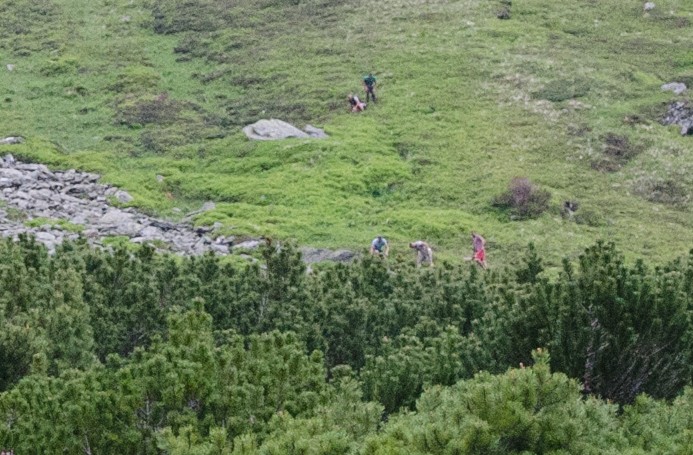 Arhiva foto