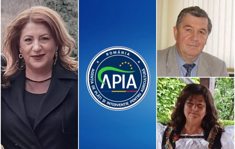 7 ANI DE LUPTĂ. O funcționară și-a reclamat șefii pentru fraudă cu fonduri europene, a fost demisă și repusă în funcție de instanță, sub aceiași șefi