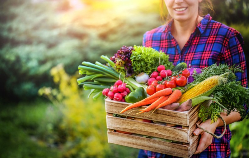 Fructele și legumele lunii iulie. Ce fructe și legume se pot consuma în luna iulie