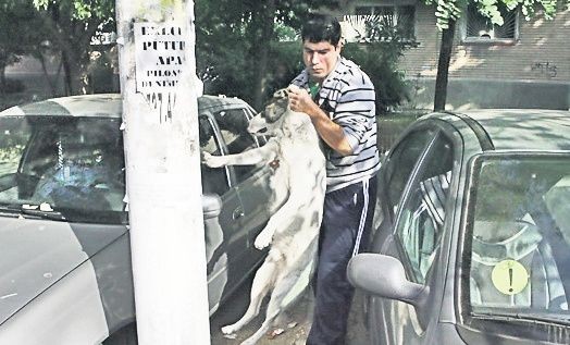 Arhiva foto