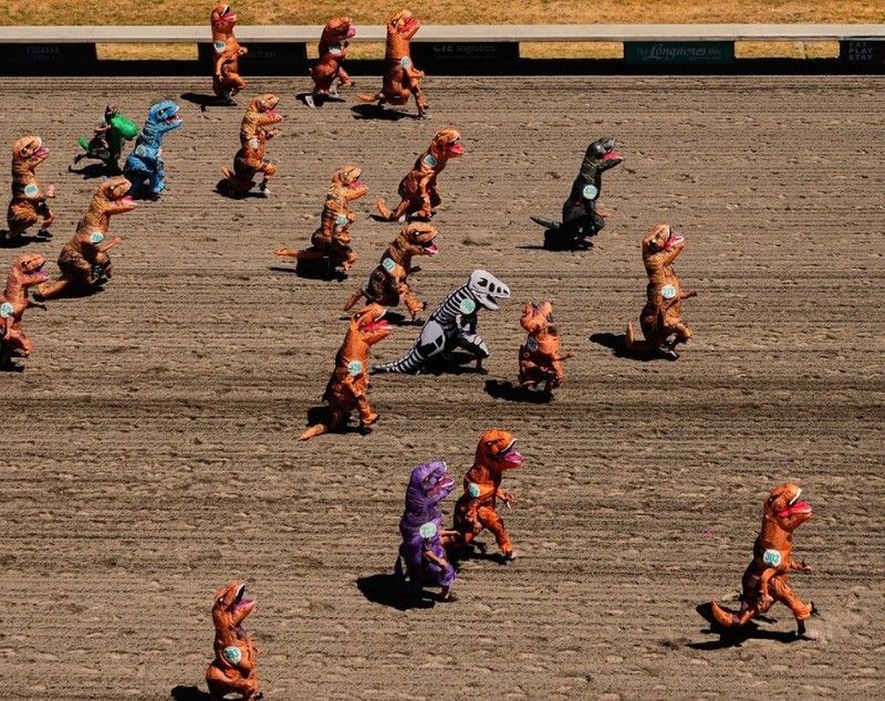 Cum au fugit 300 de dinozauri gonflabili într-o cursă de la Campionatul Mondial T-Rex | VIDEO
