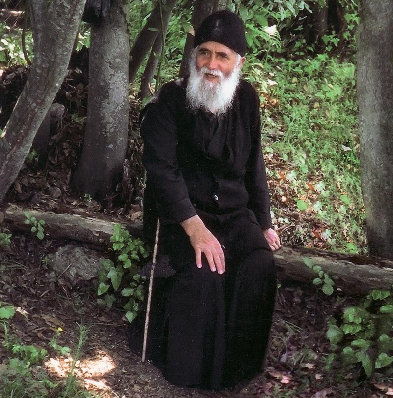 Arhiva foto