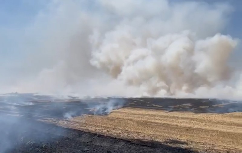 Incendiu puternic de vegetație lângă Timișoara. Ard 30 de hectare de mirişte