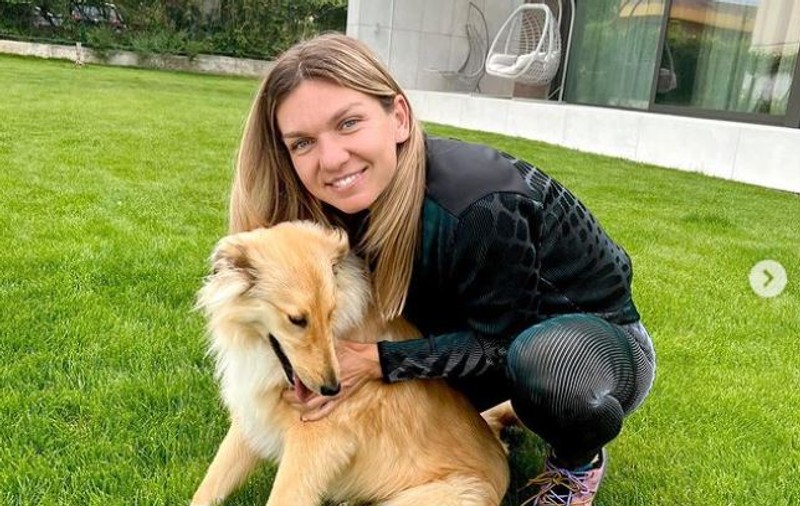 Cum arată Simona Halep, după ce și-a dat bandajul jos de la nas. Fanii au observat diferența: „Se vede”