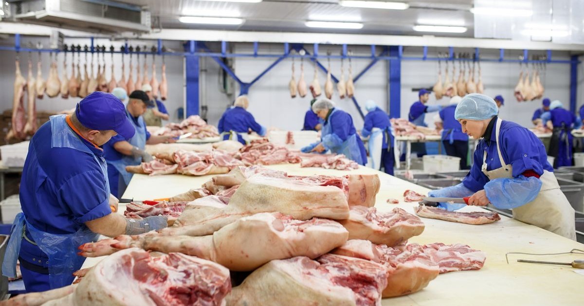 Mai mulți oameni îmbrăcați cu halate albastre și șorțuri albe, cu șepci sau căști pe cap, tranșează carne într-un abator