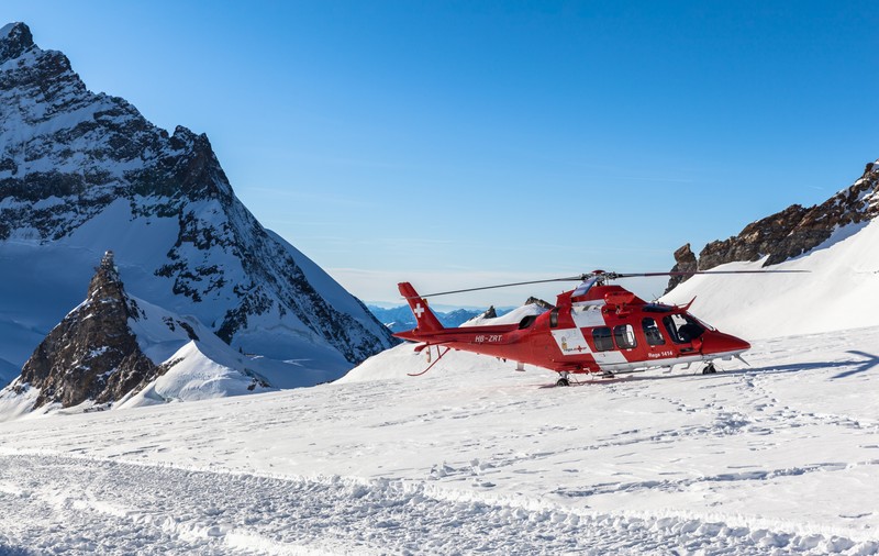 Doi oameni surprinși de o avalanșă în Elveția, salvați de câinii lor. Cum au reușit animalele să aducă ajutor