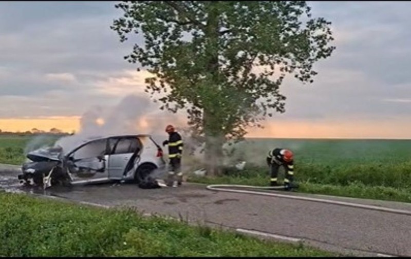 Un șofer a fost găsit mort pe marginea drumului, după ce a intrat cu mașina într-un copac, în Timiș. Autoturismul a luat foc | VIDEO