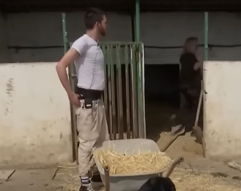 David Pușcaș a dat probe de angajare la o fermă. Când a văzut purceii, a început să urle: „Am crezut că mă mușcă de picioare”