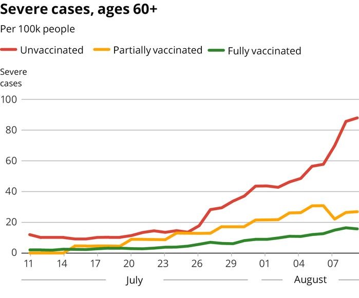 Numărul cazurilor grave de COVID, raportat la suta de mii de locuitori, pentru persoanele de peste 60 de ani. Cu roșu - nevaccinați, cu galben - parțial vaccinați, cu verde - complet vaccinați Sursa: Ministerul Sănătății din Israel/Haaretz