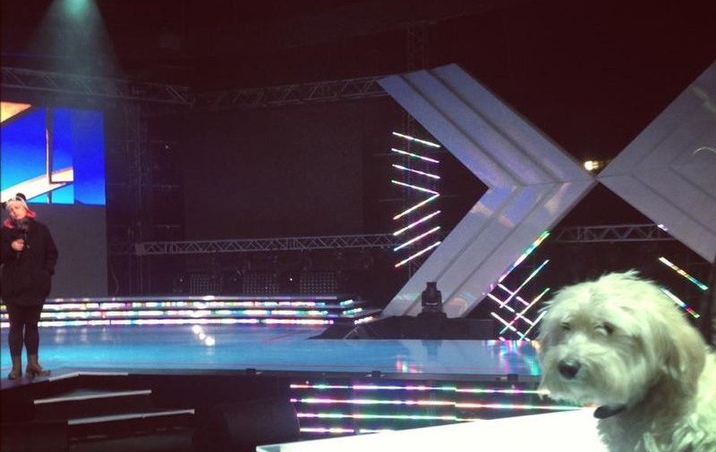 PREZENŢĂ SURPRIZĂ la masa juraţilor X FACTOR!