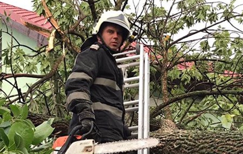 Bilanțul din zonele afectate de furtună. Copaci doborâţi de vânt şi inundaţii în gospodării