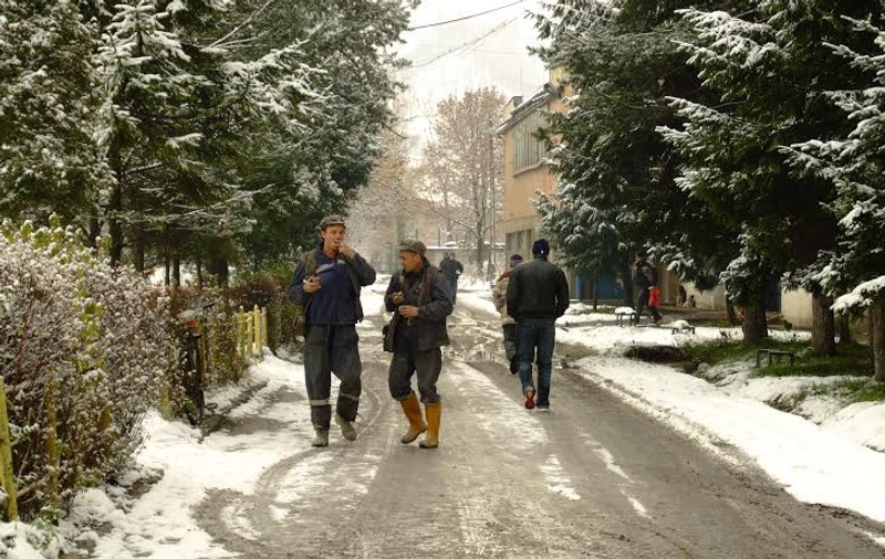 Ortacii din Valea Jiului fac apel la DNA pe reţele de socializare