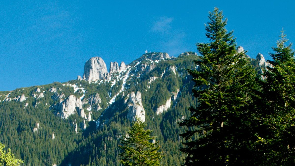 Arhiva foto