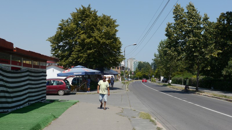 Arhiva foto