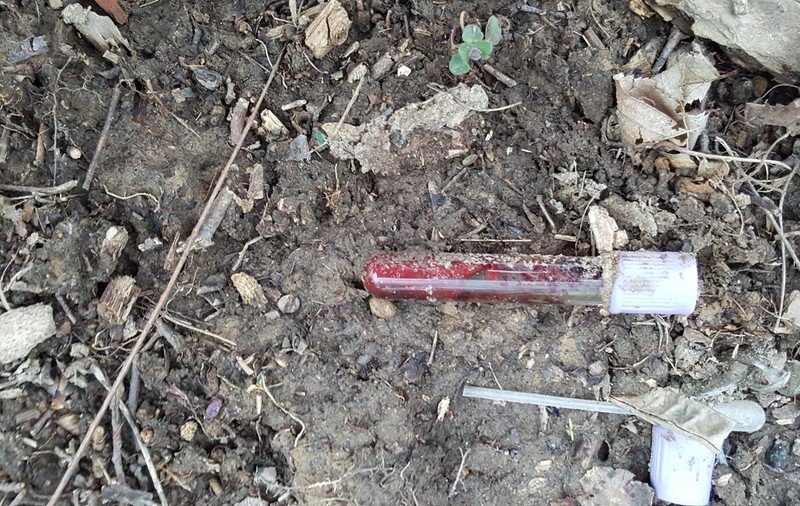 Zeci de eprubete cu sânge descoperite lângă Mediaș! GALERIE FOTO