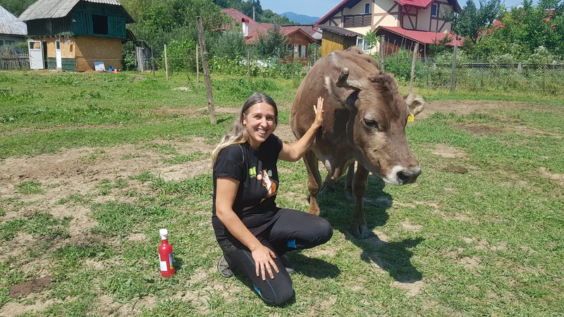 Doina și Pușa, cea mai bătrână văcuță a turmei
