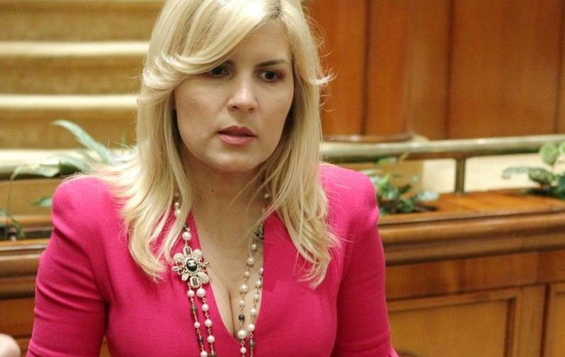 ELENA UDREA a demisionat din PDL! Uite CUM ARATĂ DEMISIA EI!