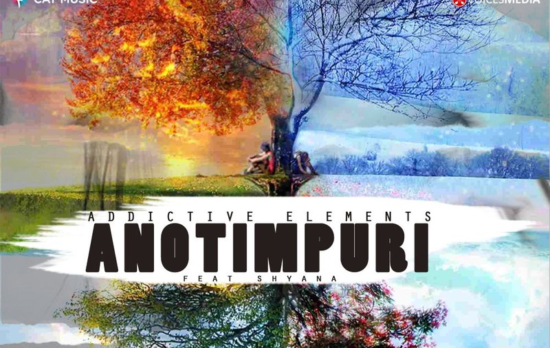 PREMIERĂ LIBERTATEA.RO | ADDICTIVE ELEMENTS lansează single-ul "Anotimpuri"