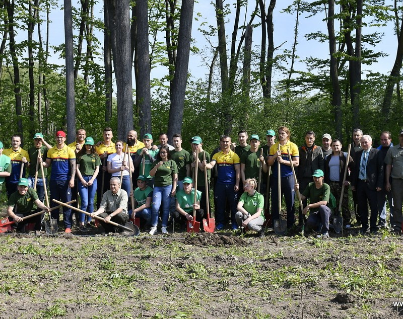 ”Stejarii” au plantat stejari la Brănești. Rugbyștii tricolori, ajutați de silvicultorii Romsilva / FOTO