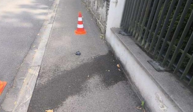 Foto