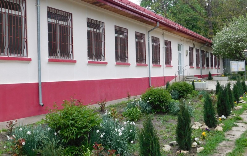 Explozie de cazuri noi de Covid-19 la un Spital de Psihiatrie din județul Iași. Zeci de pacienți și angajați au fost  infectați
