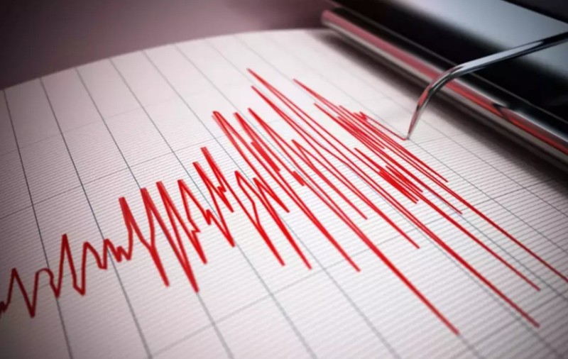 Un seismograf care înregistrează magnitudinea unui cutremur