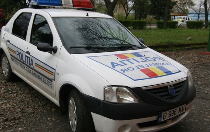 REACȚIA INCREDIBILĂ a unui hoț după ce a fost prins în flagrant