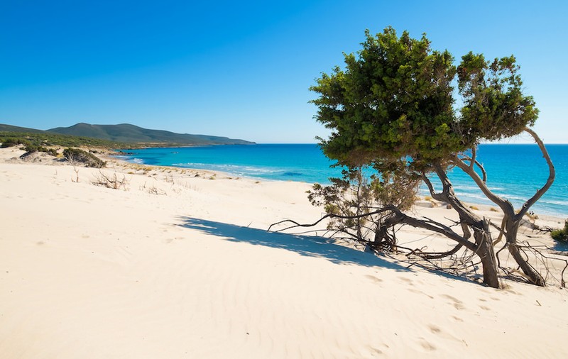 Plajele din Sardinia sunt în pericol din cauza turiștilor care iau nisip drept amintire