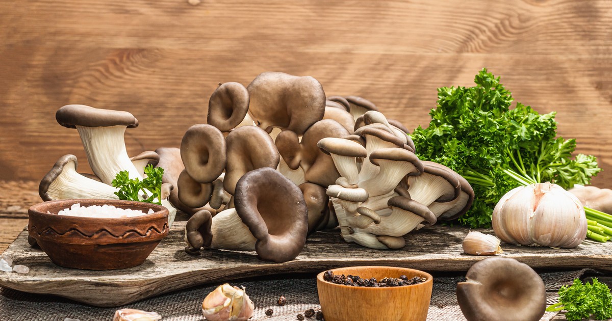 Rețete cu ciuperci pleurotus