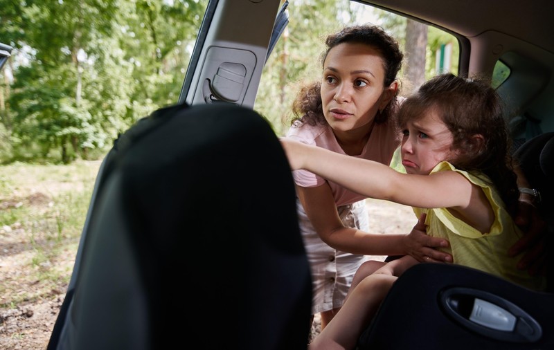 Cât de departe a ajuns o româncă, după ce și-a răpit copiii de unu și trei ani dintr-un centru de plasament din Franța