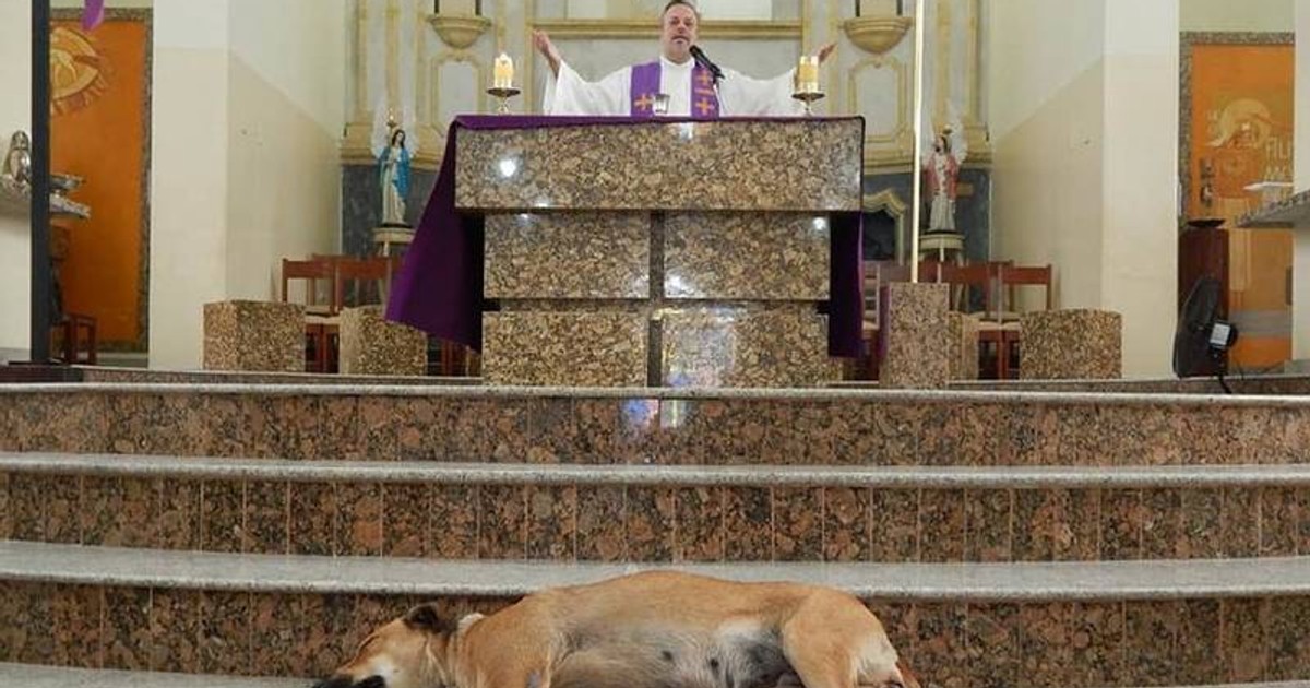 Un preot din Brazilia aduce câini maidanezi la slujbă pentru a le găsi stăpân