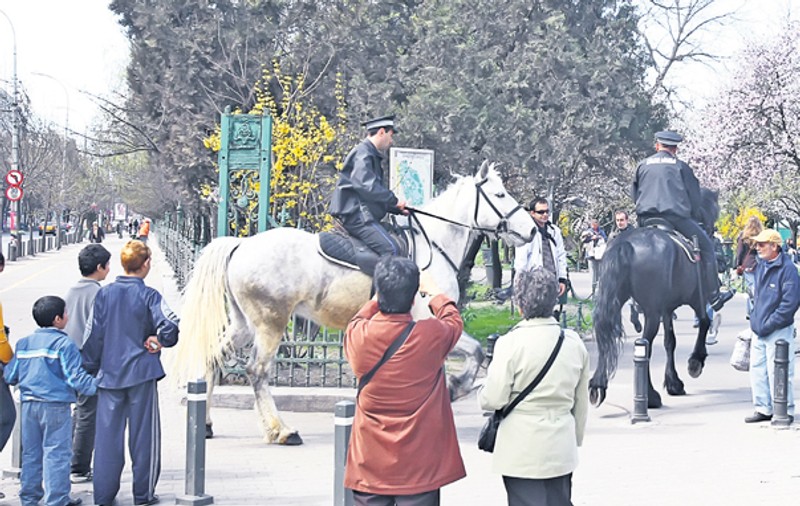 Poliţia iese călare pe străzi