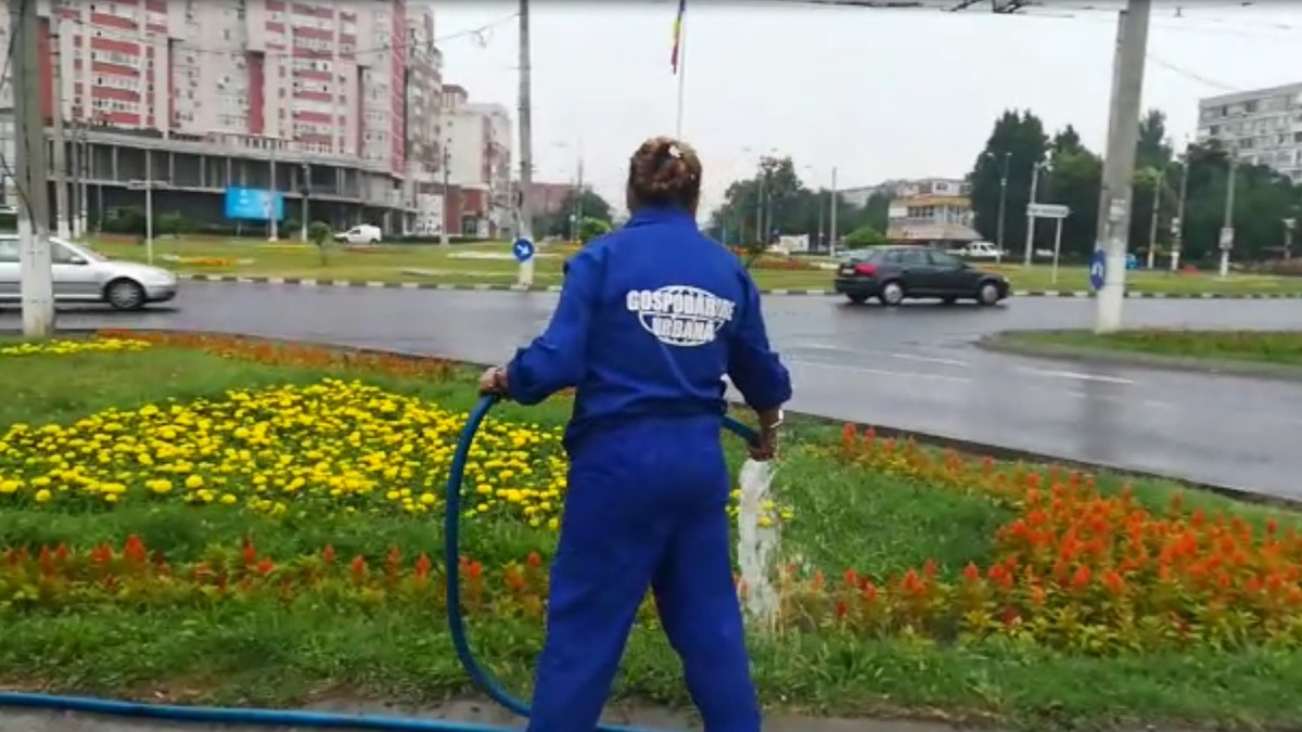 Spaţii verzi udate cu furtunul şi aspersoarele pe ploaie, la Galați