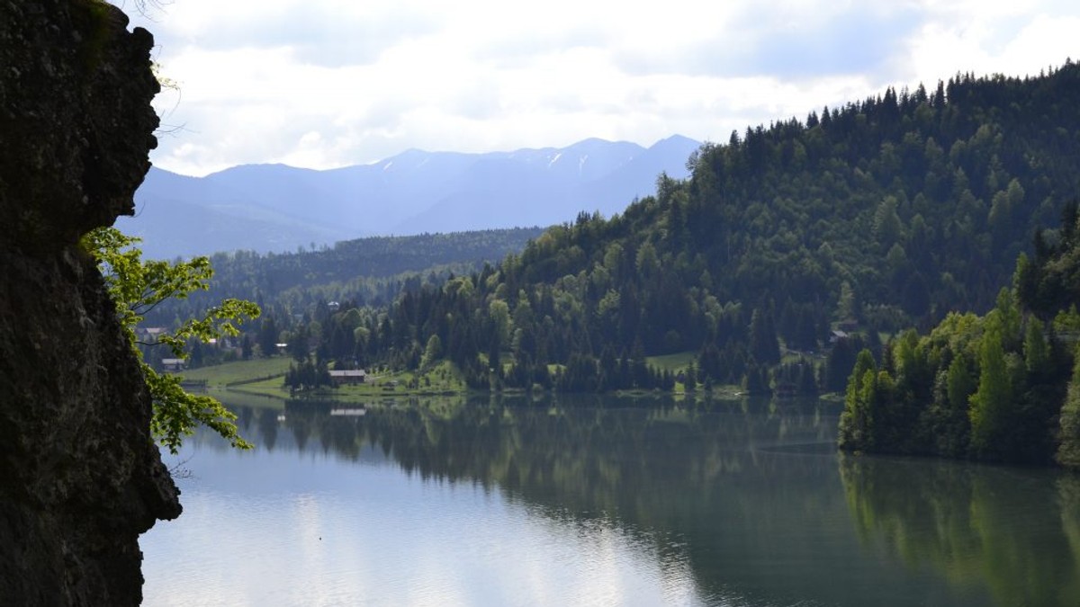 Arhiva foto