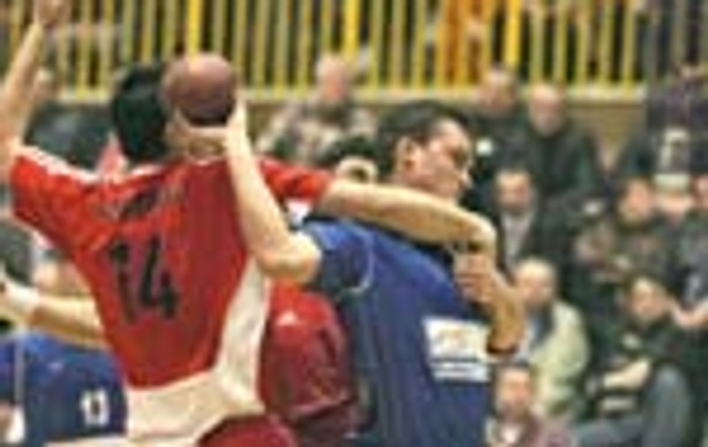 Steaua sperantei