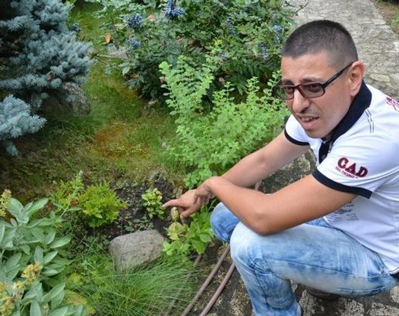 Un orădean are în grădină zeci de soiuri de plante şi pomi de pe cinci continente FOTO