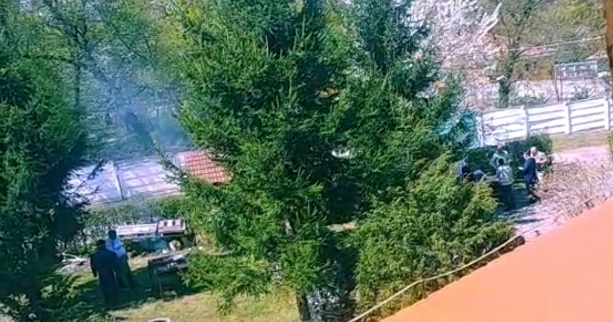 Arhiva foto