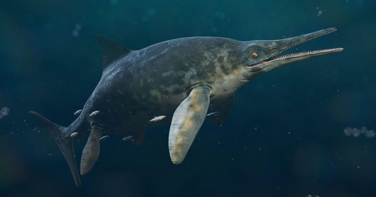 Stenopterygius quadriscissus înotând în ocean, reptilă marină dispărută în Cretacicul târziu, randare paleoartă 3D