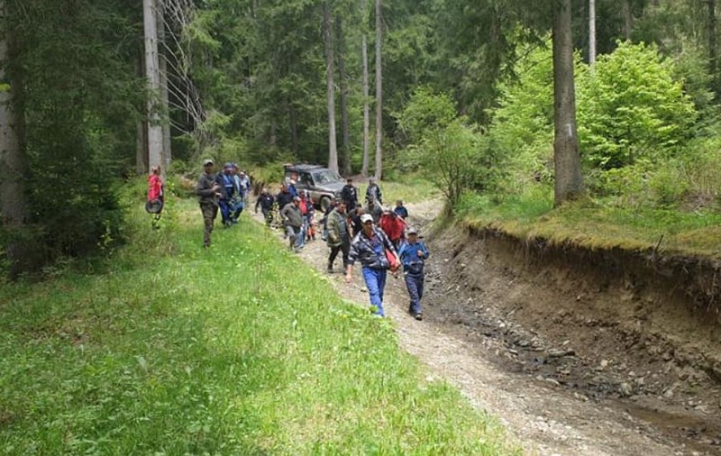 O bătrână din Borsec a fost găsită într-o pădure, la două zile după ce a fost dată dispărută: ”Este un miracol că a supraviețuit”