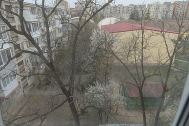 Pomii înfloriți din fața balconului le alină dorul de casă