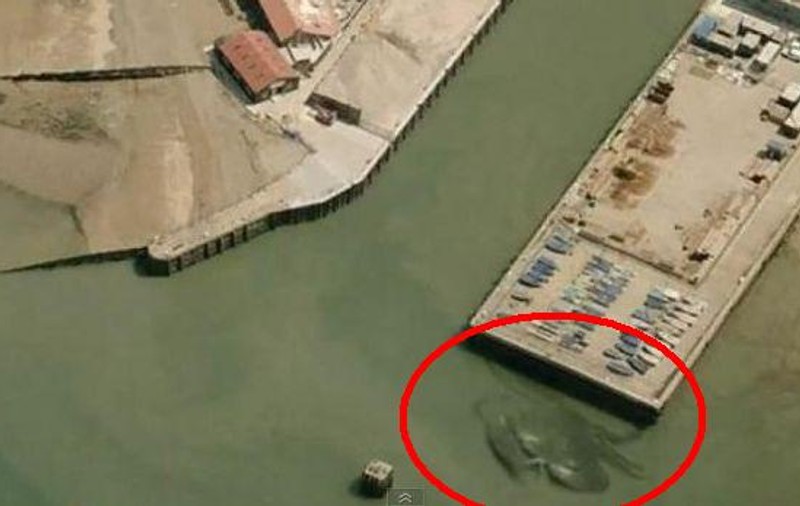 CRABUL de 15 metri CARE a terorizat coasta Marii Britanii | VIDEO